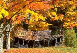 Sonbaharı Bediüzzaman'dan başka kimse böyle yorumlamamıştı