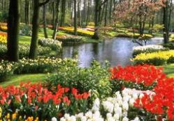 Gafletin ilacı tefekkür