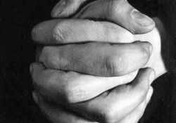 Her zamanki hikâye: İslam Birliği