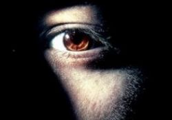 Feraset kimlerde bulunur?