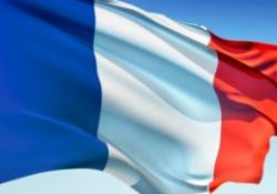 Fransa Müslümanlarının görüşleri