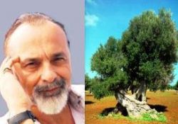 Ağaçlar ne anlatıyor bize?