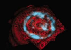 Bilim adamları şaşkına döndü