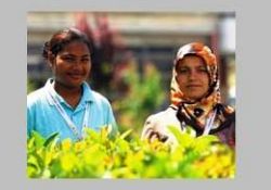 Papua Yeni Gine İslam'a koşuyor