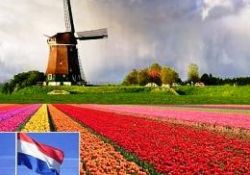 Batının aradığı sistem