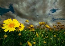 Dünyanın kaptanına güvenirsen