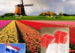 Hollandalı Kwes'in gecesi-gündüzü Risale-i Nur