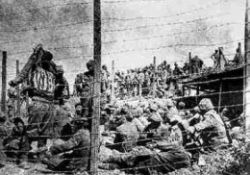 Nargin ve Kosturma esir kampları