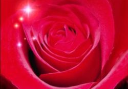 Peygamber Efendimizin yemekteki edep ve ahlâkı