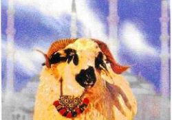 Her yönüyle kurban ibadeti