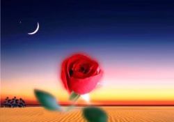 O'nun (asm) dilinden Arefe