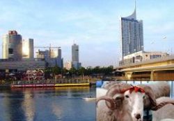 Gurbetten kurban düşünceleri