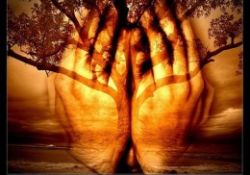 Bediüzzaman'ı bedduadan vazgeçiren çocuk