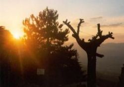 Barla Modeli ve iman ilimleri okulu