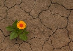 'Firavun'lar ve 'Musa'lar