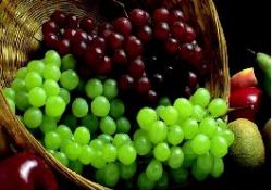 Bitki yağları şifa kaynağı