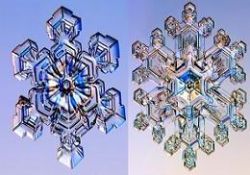 Kar kristalleri ve muhteşem sanatlar