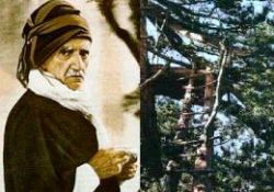 Bediüzzaman ve zikreden ağaçlar