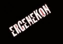 Ergenekon: 100 yıl sonra gelen tarihi fırsat-ÖZEL