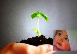 Ankaralı her bebek için fidan dikilecek