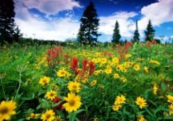 İşte sivil ve nurlu üniversite-ÖZEL