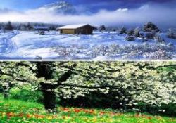 Kışta bahar düşünmek (Şiir)-ÖZEL