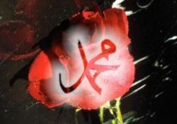 Kutlu Doğum yarışması başladı