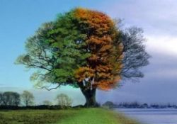 Aynı günde dört mevsim