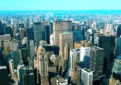 New York'u tahtakuruları istila etti