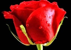 Örnek bir baba olarak Peygamberimiz