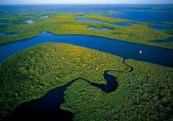 Dünyaya kuşların gözüyle bakmak-FOTO