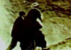 Said Nursi yolda yürürken