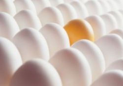 Yumurta, kan basıncını düşürüyor