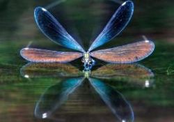 NG'nin objektifinden yansıyanlar-FOTO