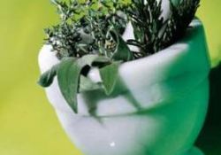 Şifalı bitkiler hakkında pratik bilgiler