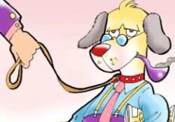 Köpek polemiği-ÖZEL