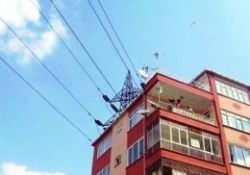 Yüksek gerilim hatları Alzheimer riskini artırıyor