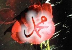 7 ülkeden 49 bilim adamı Peygamberimizi anlatacak