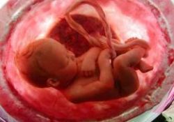 İşte insan mucizesi