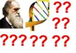 Evrimcilere hodri meydan diyen sorular