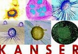 Kansere karşı yeni bir kalkan