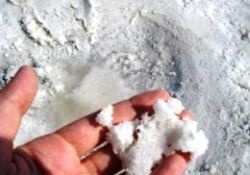 Tuzun azı kar, çoğu zarar