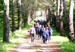 Yüz adımda sağlıklı yaşam