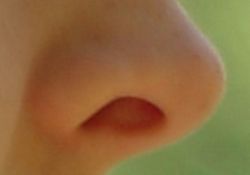 Sağlık için burundan nefes alın