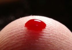 Sentetik kan için araştırma başlatıldı