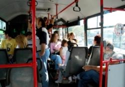 Belediye otobüsleri ve kafeler mikrop saçıyor