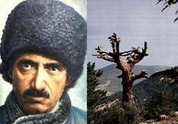 Bediüzzamanın tepeleri-ÖZEL