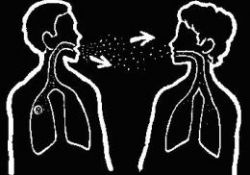 Yılda 2 milyon kişi veremden ölüyor