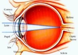 At gözlüğü takmış gibi görüyorsanız dikkat!