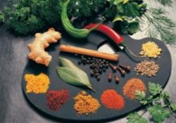 Bitkisel ürünleri kullanırken 'ottur, zararı yoktur' demeyin